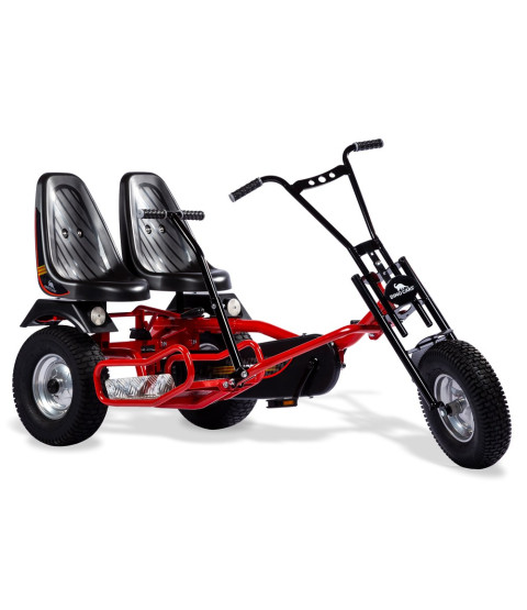  GoKart, Gokart Rider 2 F professional