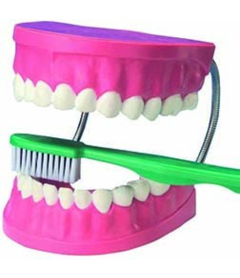 Lær at børste tænder