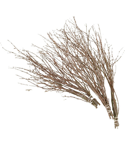 Fastelavnsris 20 stk.