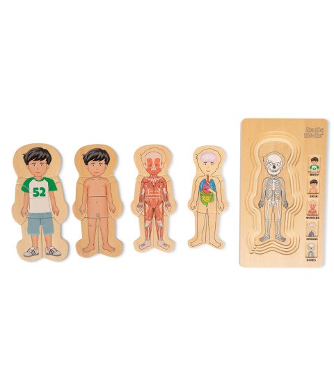 Puslespil - Min Krop, dreng