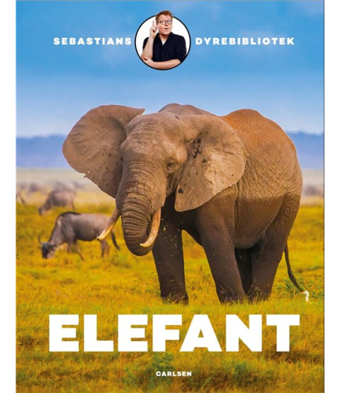 Sebastians dyrebibliotek: Elefant