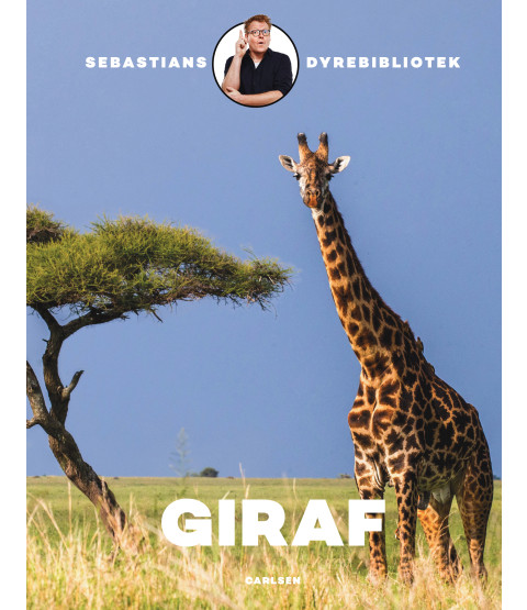 Sebastians dyrebibliotek: Giraf