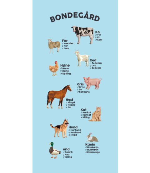 Dørfolie - Bondegården