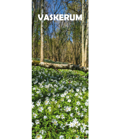 Dørfolie - Skovbund