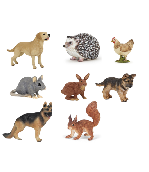 Dyr i haver og huse, 8 stk