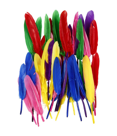 Farvede fjer 20cm