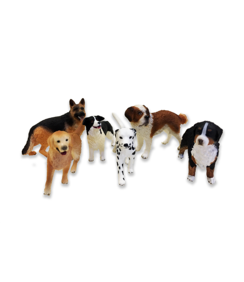 Hundesæt, 4 stk.