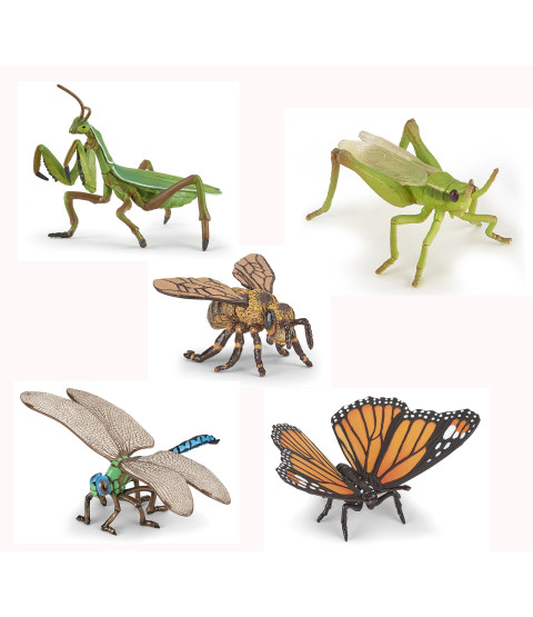Sæt med insekter, 5 figurer