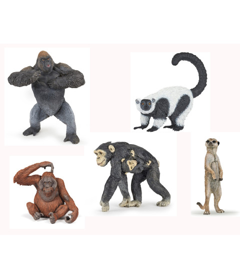 Junglens aber sæt, 5 stk.