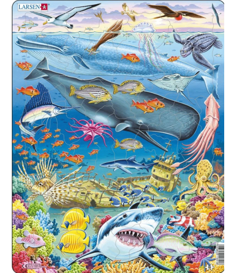 Puslespil, Livet i havet 66 brikker