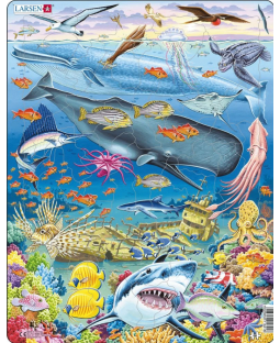 Puslespil, Livet i havet 66 brikker